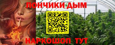 гашик Камышлов