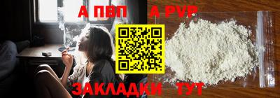 гашик Камышлов