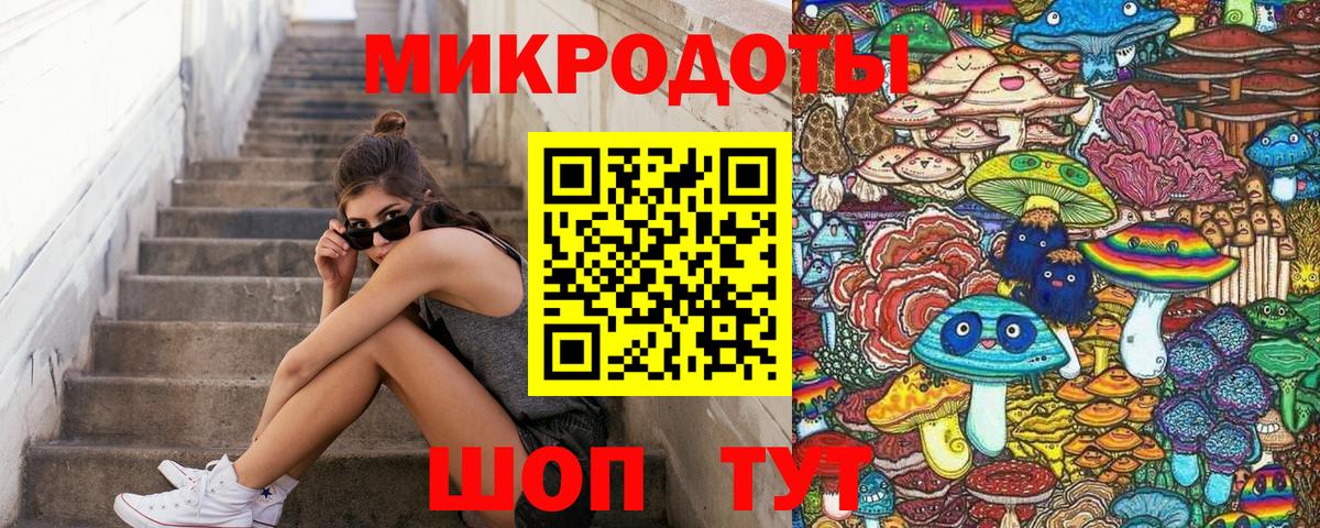 Сунжа  Галлюциногенные грибы Cubensis  Вход с VPN  Псилоцибиновые грибы мухоморы 