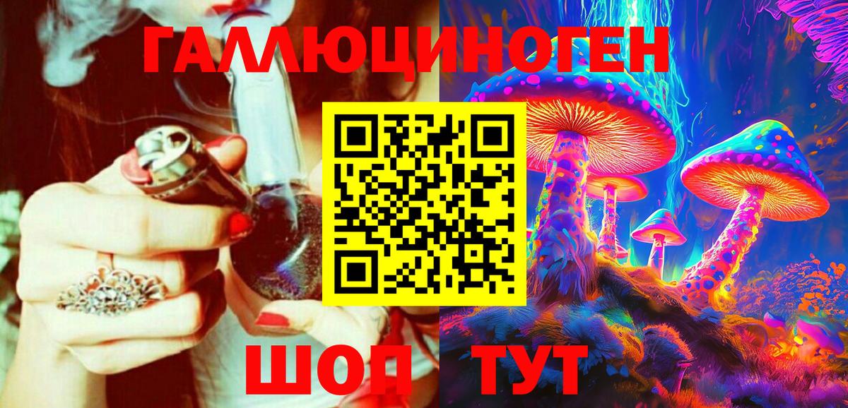 Псилоцибиновые грибы Cubensis Сунжа