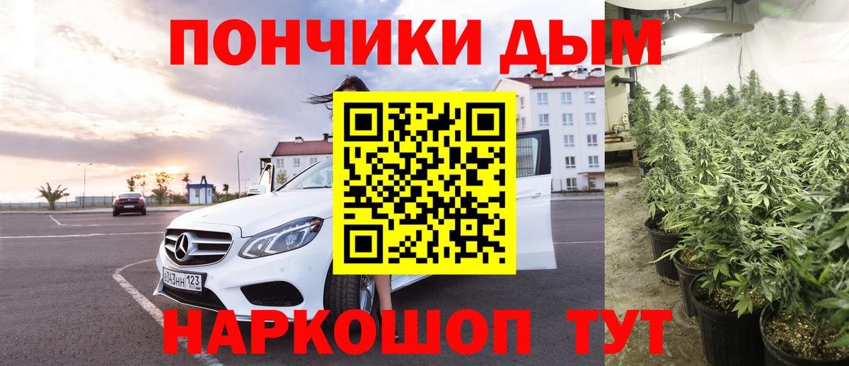 Бошки марихуана SATIVA & INDICA  Вход с VPN  Марихуана MAZAR  МАРИХУАНА конопля  Сунжа 